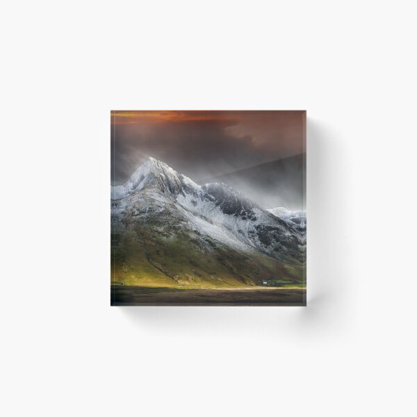 Profound Beauty Acrylic Block