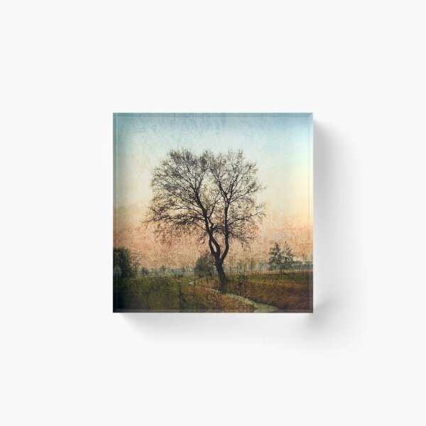 Item preview, Tree and the canal designed and sold by Roberto Pagani.