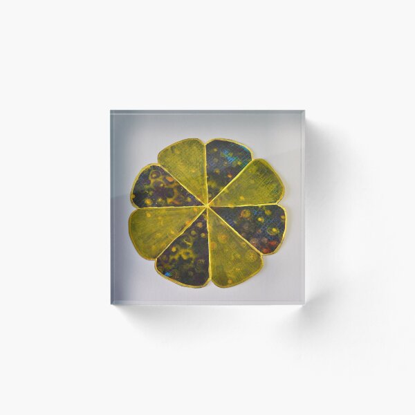 Item preview, Gelli Print Flower 3 designed and sold by ShellsintheBush.