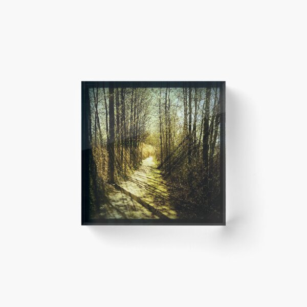 Item preview, Forest designed and sold by Jean-François Dupuis.