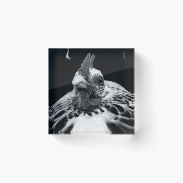 Item preview, Dramatic Hen designed and sold by M Lambert.