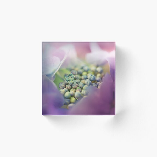 Artikelvorschau, Abstract Macro Flower entworfen und verkauft von Cubagallery.