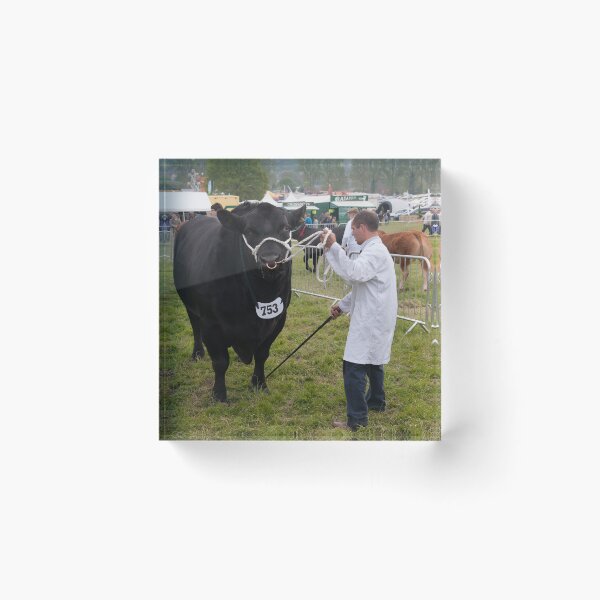 Item preview, Big Black Bull designed and sold by ccullen222.