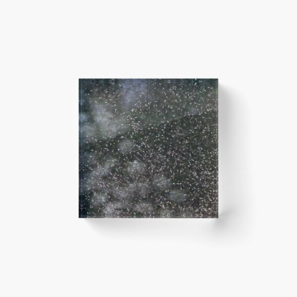 Item preview, "Snowfall" designed and sold by Bluesrose.