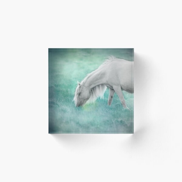 Item preview, fantasy designed and sold by Mitch  McFarlane.
