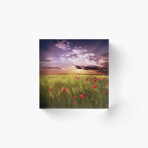 Item preview, Field of poppies designed and sold by Suzana Ristic.