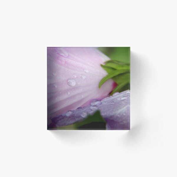 Pink and Purple Rose of Sharon Petals Macro Acrylic Block