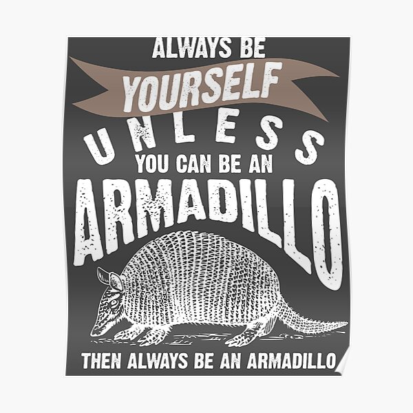 Armadillo Posters Redbubble