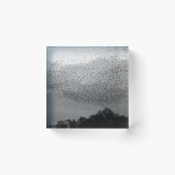 Item preview, Multitude designed and sold by Edward Perry.