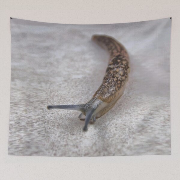 Item preview, Bed's nails designed and sold by Antonello Incagnone "incant".
