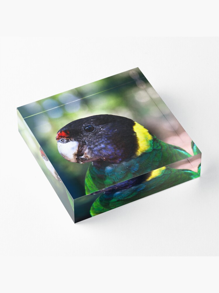 Alternate view of 28 Acrylic Block