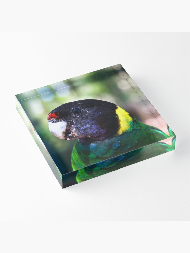 Alternate view of 28 Acrylic Block