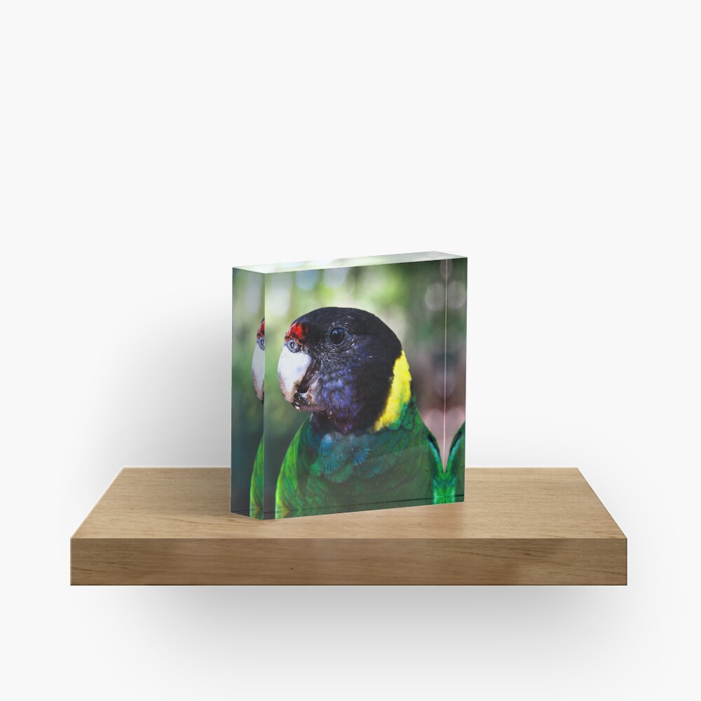 28 Acrylic Block