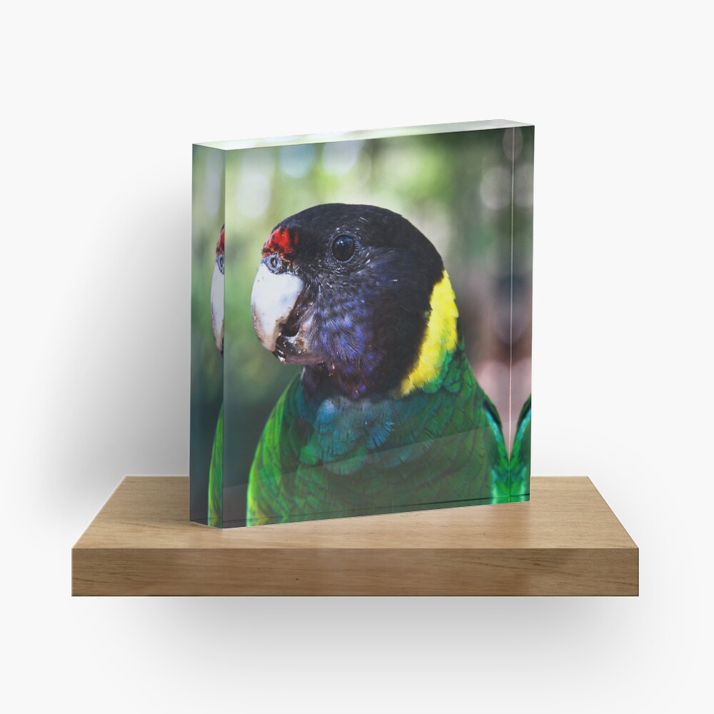 28 Acrylic Block