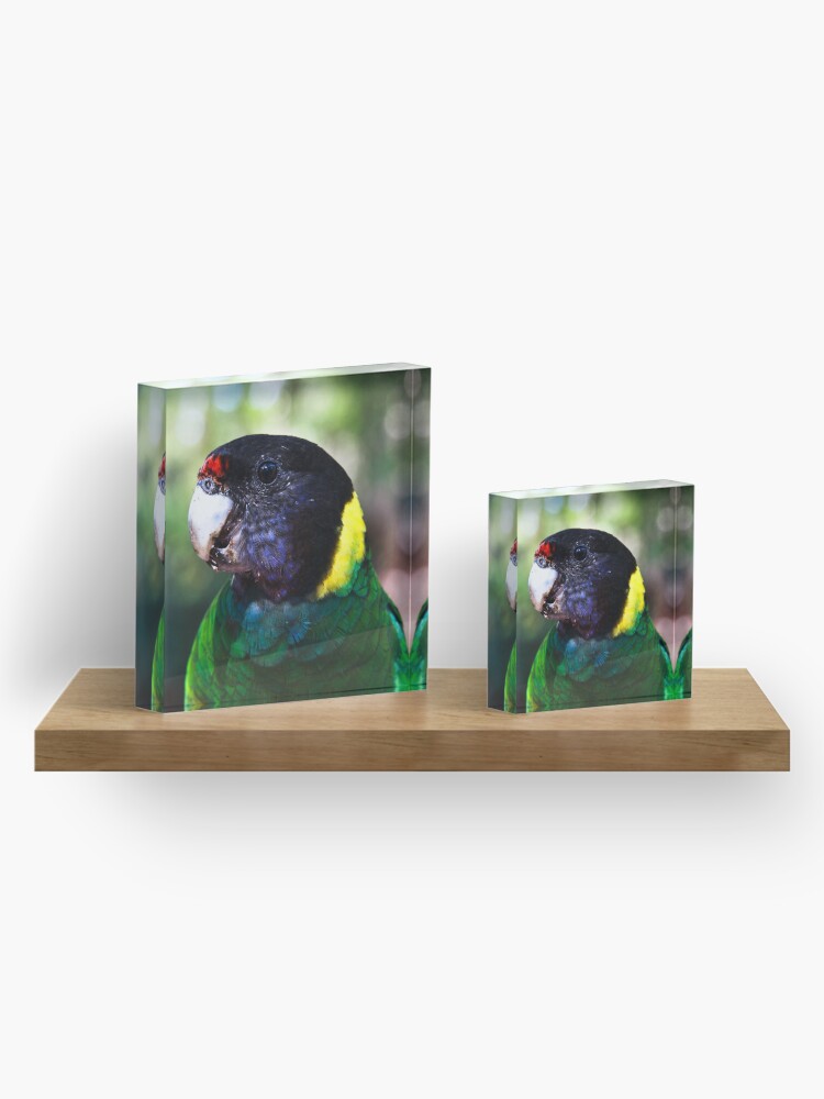 Alternate view of 28 Acrylic Block