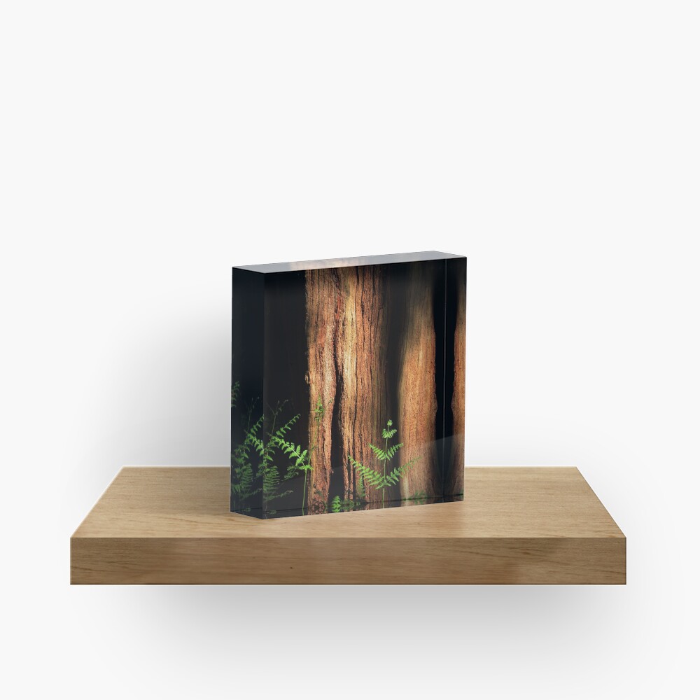 Item preview, Acrylic Block designed and sold by Coigach.