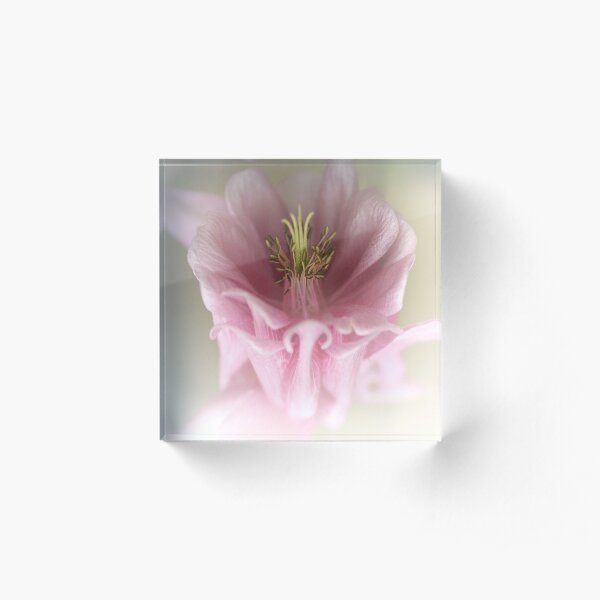 Angel Light.... Acrylic Block