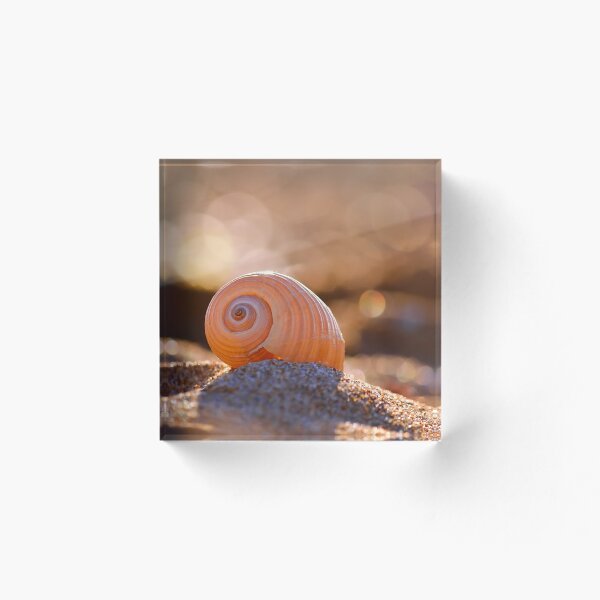 Artikelvorschau, Shell bokeh entworfen und verkauft von Kostas Kalomiris.