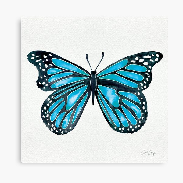 Blue Morpho Butterfly Canvas Print