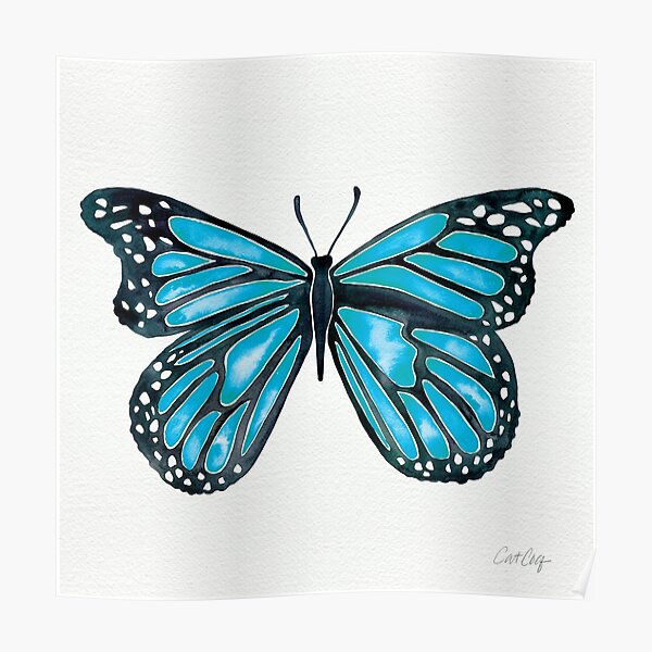 Blue Morpho Butterfly Poster