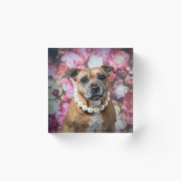 Item preview, Bacon cushion or bag designed and sold by Penel.