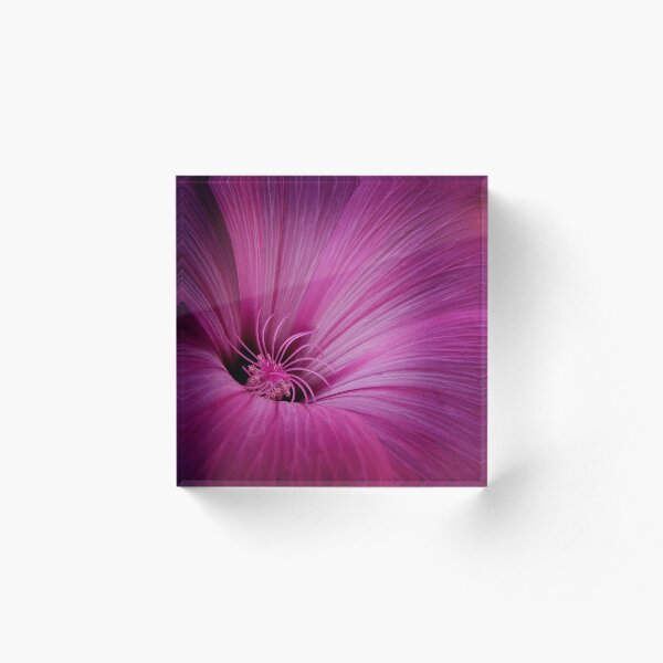Item preview, Floral Vortex designed and sold by Doug Chinnery.