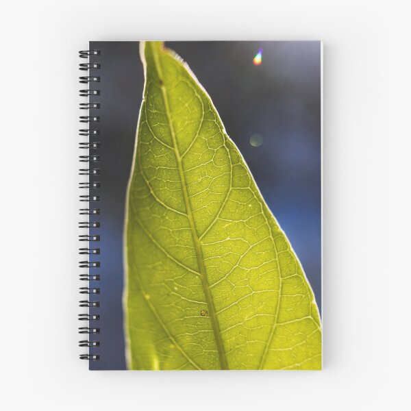 Item preview, Backlit sheet designed and sold by CalebTCortes.