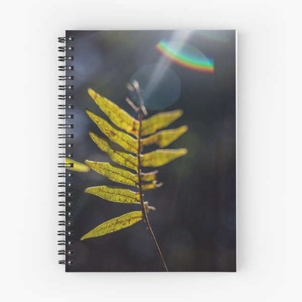 Item preview, Fern with flash designed and sold by CalebTCortes.