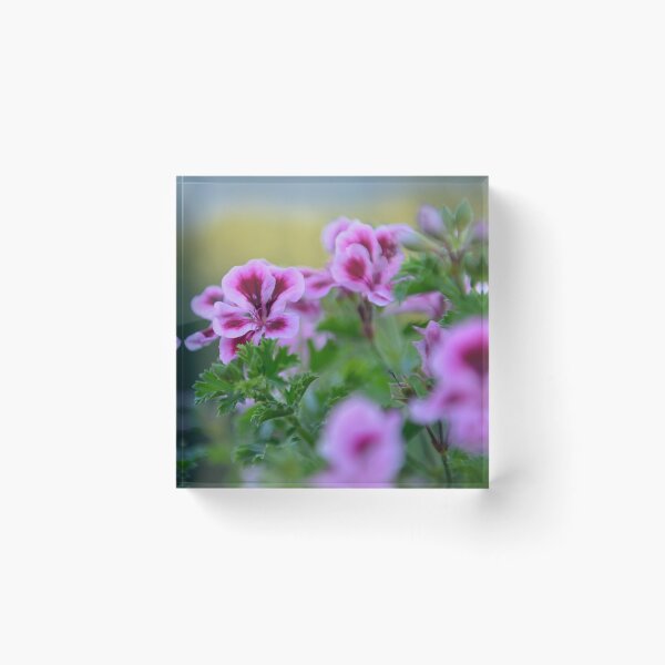 Item preview, Pelargonium bokeh  designed and sold by Andrea Rapisarda.