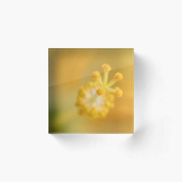 Just living is not enough, one must have sunshine, freedom, and a little flower... Acrylic Block