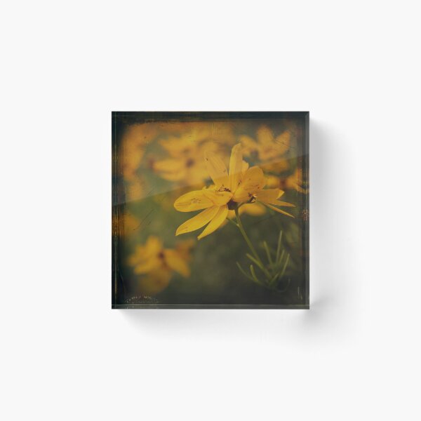 Item preview, Sea of Yellow pt.][ designed and sold by aaronc.