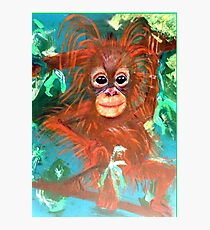 Baby Orangutan Photographic Print