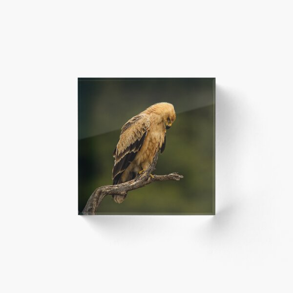 Item preview, Looking Down designed and sold by Rashid Latiff.