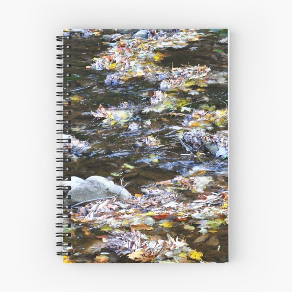 Item preview, Babbling Autumn Brook designed and sold by SRosuphotos.
