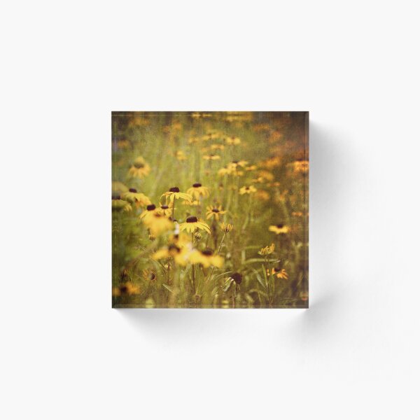 Black-Eyed Susan Flowers Acrylic Block