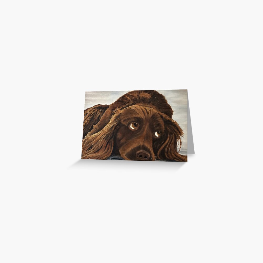 Spaniel Appeal Greeting Card (Blank) Greeting Card