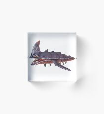 Bloque acrílico Sandshark