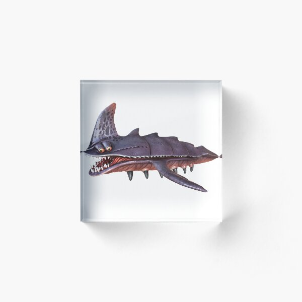Sandshark Acrylic Block