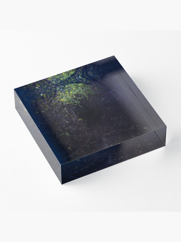 Alternate view of The Dark Thicket of Life Acrylic Block
