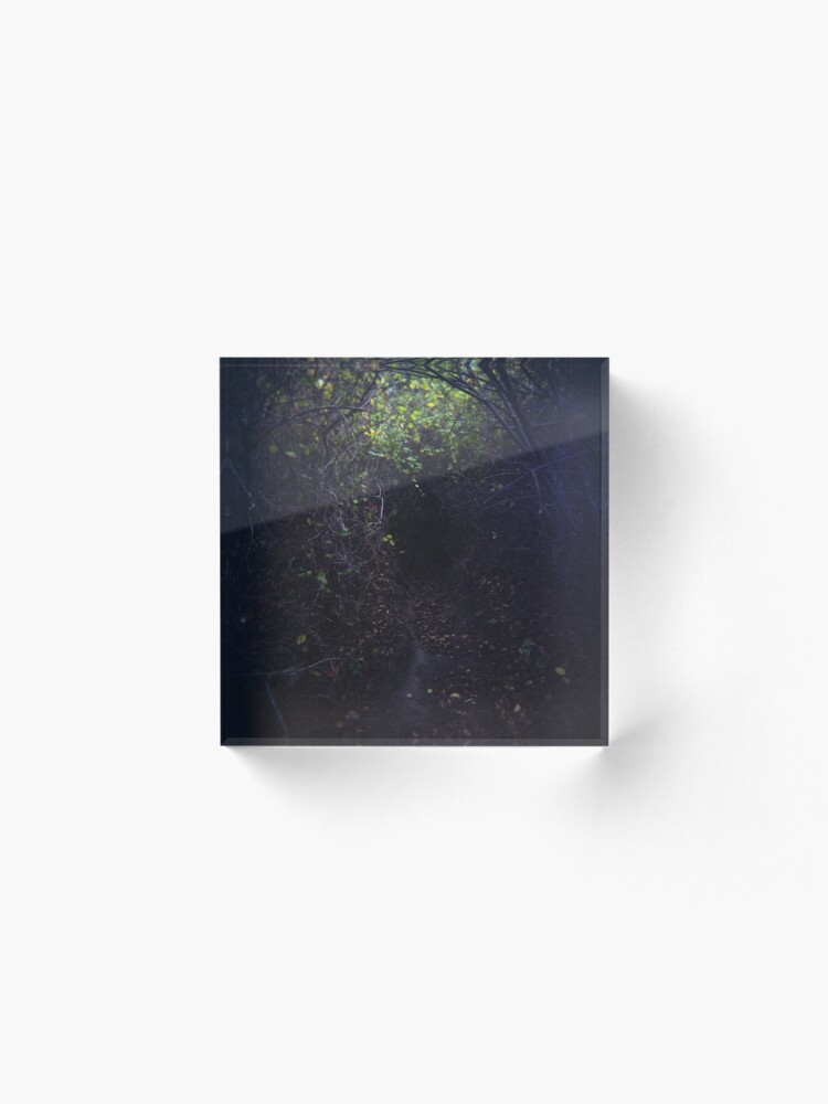 Alternate view of The Dark Thicket of Life Acrylic Block