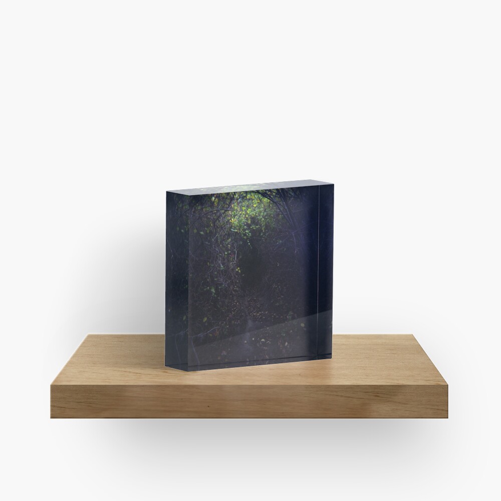 The Dark Thicket of Life Acrylic Block