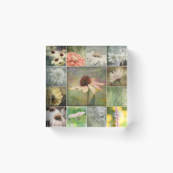 petals of hope and inspiration Acrylic Block