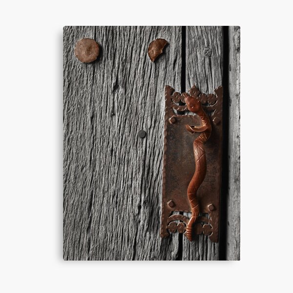 Snake eyes Canvas Print