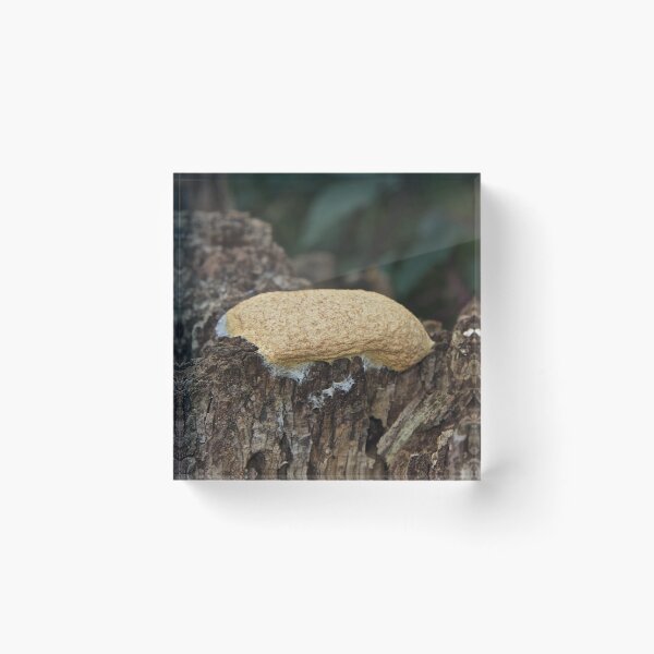 Item preview, Mystery designed and sold by John Thurgood.