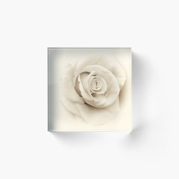 The Power Of Love .... Acrylic Block