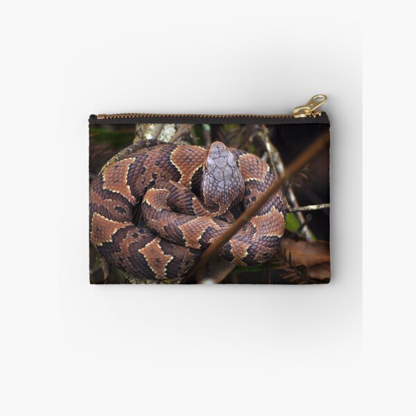 Item preview, Coiled designed and sold by John  Kapusta.