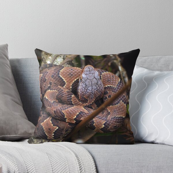 Item preview, Coiled designed and sold by John  Kapusta.