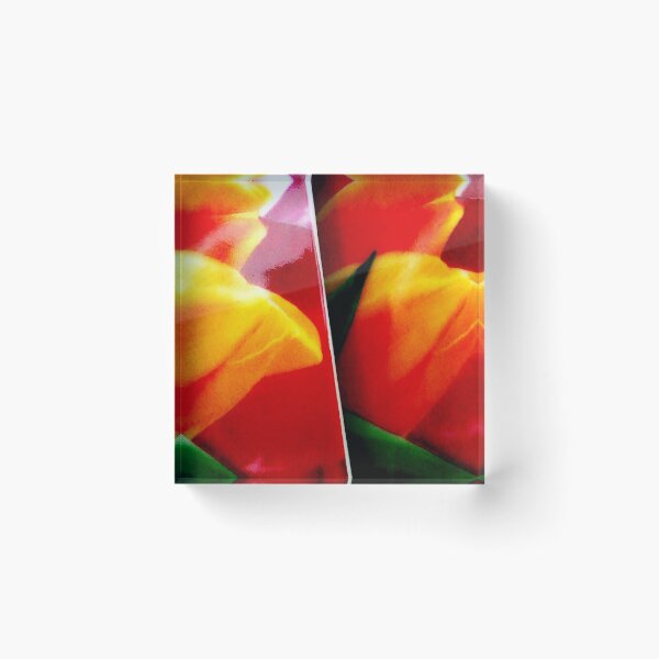 Artikelvorschau, Tulip cups. II entworfen und verkauft von Bluesrose.