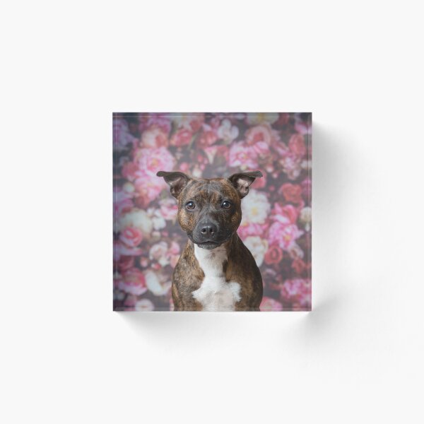 Item preview, Tyger on flowers designed and sold by Penel.