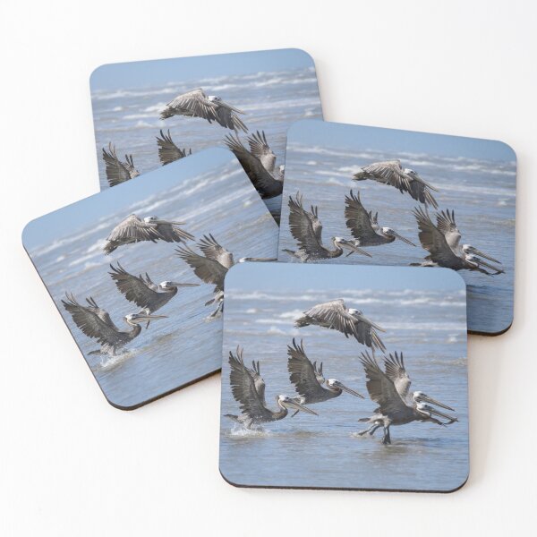 Item preview, Brown Pelicans Take Flight designed and sold by Debra Martz.
